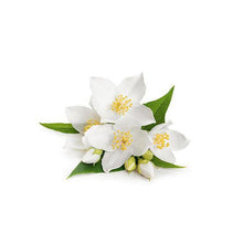 画像をギャラリービューアに読み込む, ジャスミンティーBOX